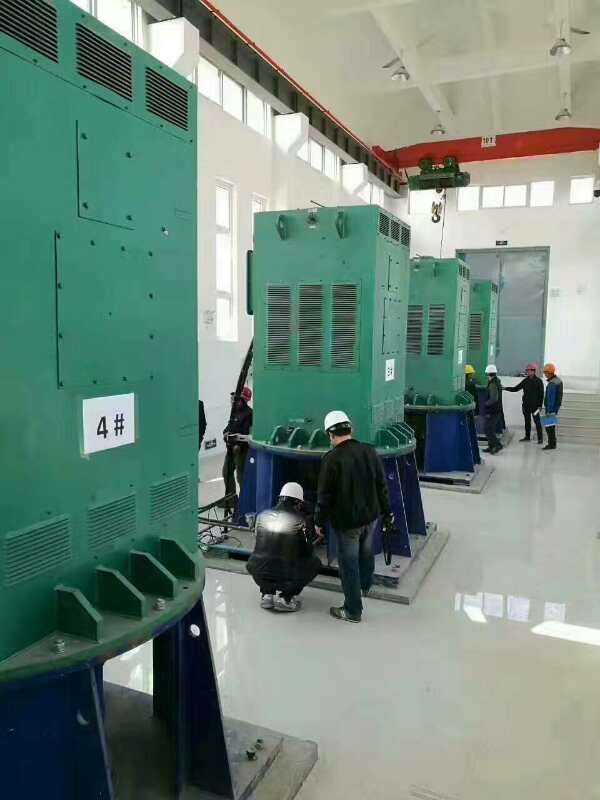 YKS6301-2某污水处理厂使用我厂的立式高压电机安装现场