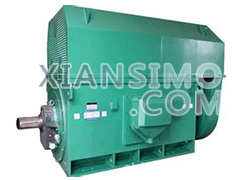 YKS6301-2YXKK(2极)高效高压电机技术参数